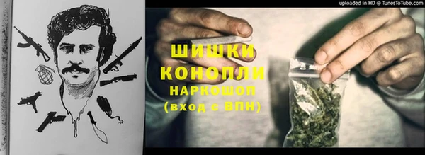 кокс Касимов