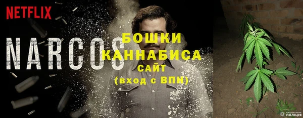 кокс Касимов
