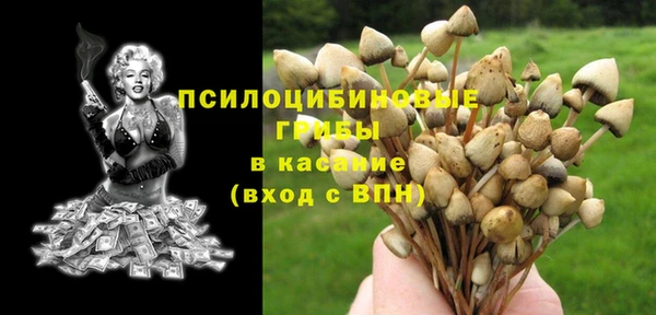 ПСИЛОЦИБИНОВЫЕ ГРИБЫ Каменка